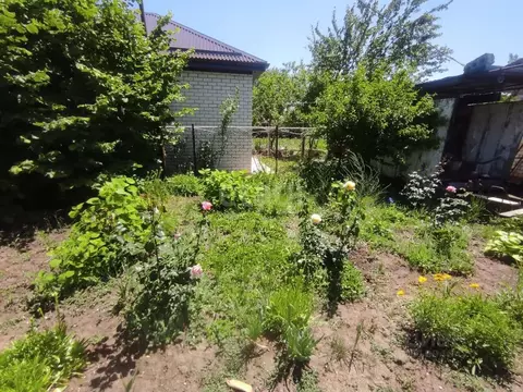 Участок в Ставропольский край, Изобильненский муниципальный округ, ...