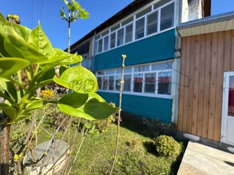 Дом в Алтай, Майминский район, с. Майма Березовая ул. (125 м)