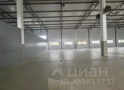 Склад в Ленинградская область, Отрадное Кировский район, Ленинградское ...