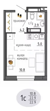 Студия Пермский край, Пермь Ижевская ул., 38 (22.9 м)