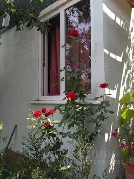 Комната Крым, Ялта ул. Достоевского, 21