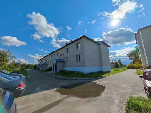 2-к кв. Московская область, Шатура муниципальный округ, с. Дмитровский ...