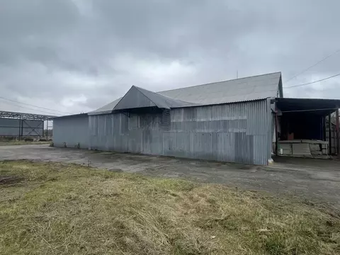 Производственное помещение в Тульская область, Дубенский район, ...