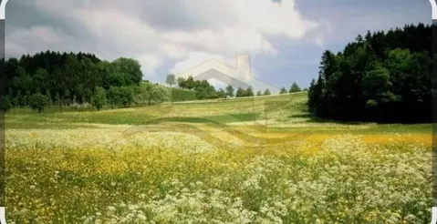 Участок в Пермский край, Березники муниципальный округ, с. Романово  ...