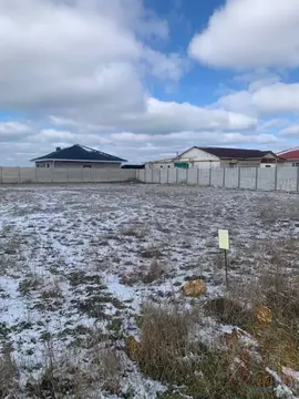 Участок в Крым, Черноморский район, с. Новосельское 11 (8.0 сот.)