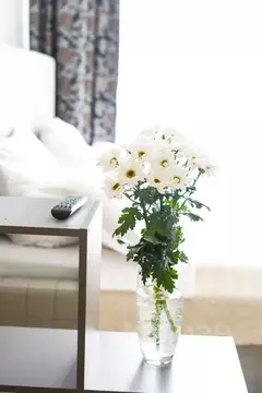 Студия Иркутская область, Иркутск Байкальская ул., 244/2 (40.0 м)