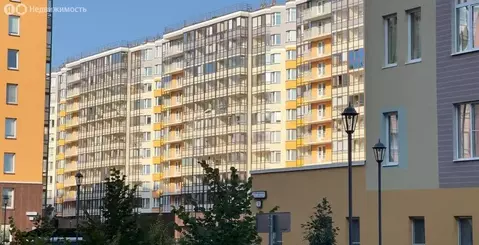 Квартира-студия: Санкт-Петербург, проспект Ветеранов, 175к4 (24 м)