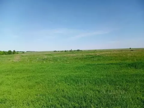 Участок в Саратовская область, Аткарский район, Ершовское ...