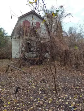 Дом в Тамбовская область, Тамбов Заря-2 СНТ,  (30 м)