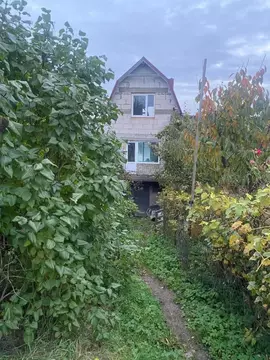 Дом в Калининградская область, Гурьевский муниципальный округ, Дельфин ...