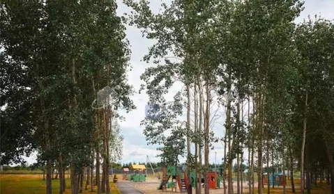 Участок в Тюменская область, Тюменский муниципальный округ, с. Чикча  ...