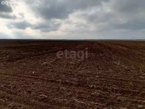 Участок в Первомайский район, Кормовское сельское поселение, село ...