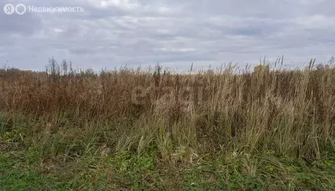 Участок в Новосибирский район, Ярковский сельсовет, СТ Ветеран-2 (5.8 ...