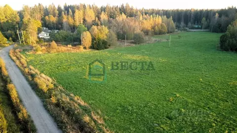 Участок в Ленинградская область, Выборгский район, Полянское с/пос, ...