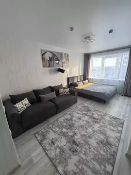 Студия Пермский край, Пермь ул. Серебристая, 3А (29.0 м)