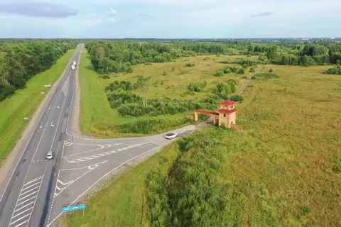 Участок в Тверская область, Ржевский муниципальный округ, д. Збоево  ...