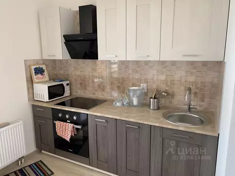 1-к кв. Санкт-Петербург ул. Русановская, 18к1 (30.7 м)