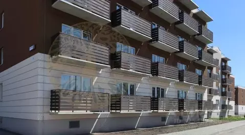 Студия Воронежская область, с. Новая Усмань ул. Полевая, 22А (20.4 м)