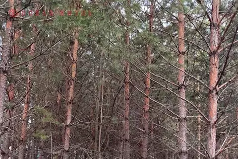 Участок в Самарская область, Волжский район, Курумоч с/пос, пос. ...