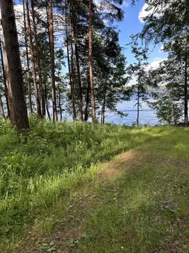 Участок в Ленинградская область, Приозерский район, Громовское с/пос, ...