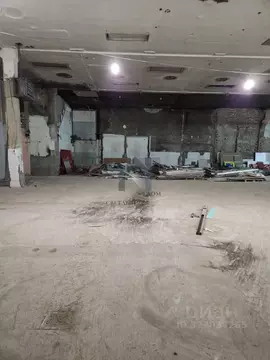 Помещение свободного назначения в Алтайский край, Барнаул просп. ...