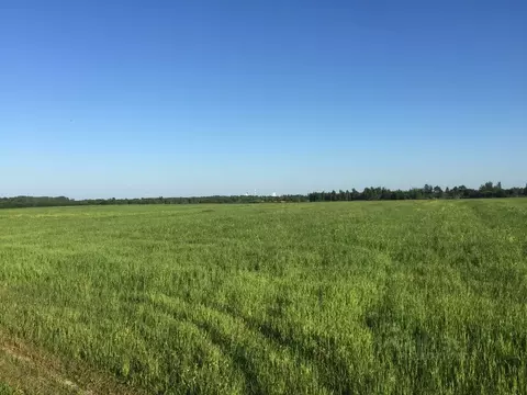 Участок в Тверская область, Конаковский муниципальный округ, д. ...