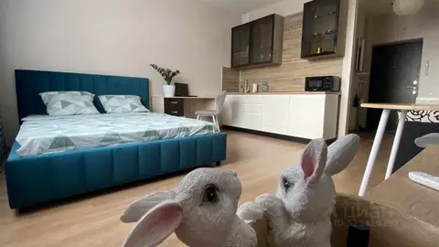 Студия Белгородская область, Белгород ул. Николая Островского, 18А ...