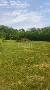 Участок в Ростовская область, Сальский район, Рыбасовское с/пос, Луч ...