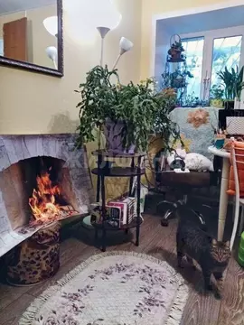 Квартира, 1 комната, 16 м