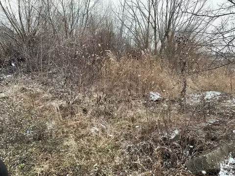 Участок в Белгород, улица Дружбы (15 м)