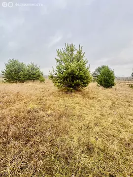 Участок в деревня Яковлево, 5-я улица Саввинские Берега (15 м)