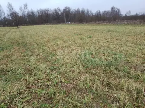 Участок в Калужская область, Перемышльский муниципальный округ, ...