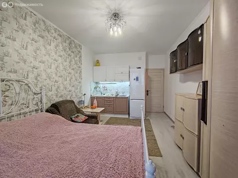 Квартира-студия: Санкт-Петербург, Арцеуловская аллея, 21 (24.2 м)