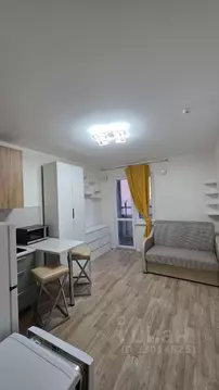 Студия Санкт-Петербург наб. Реки Каменки, 23 (19.6 м)