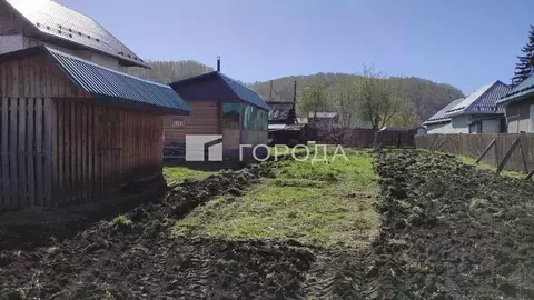 Участок в Алтай, Майминский район, с. Майма  (12.0 сот.)