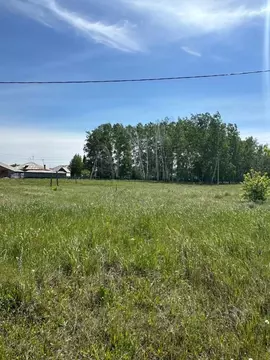 Участок в Омская область, с. Азово  (14.0 сот.)