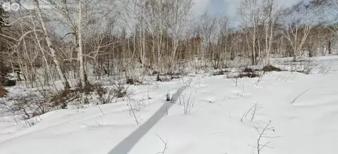 Участок в Камчатский край, Елизовский муниципальный округ, СНТ ...