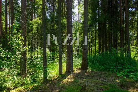 Участок в Ленинградская область, Выборгский район, Рощино пгт, КП ...