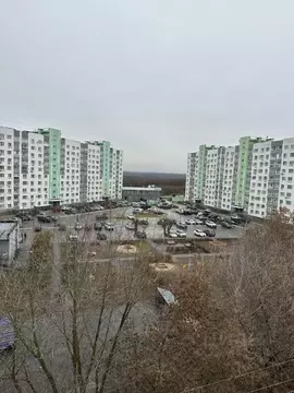 2-к кв. Нижегородская область, Дзержинск Прибрежная тер., ул. Попова, ...