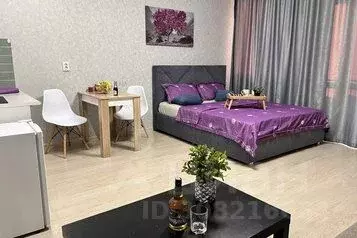 1-к кв. Свердловская область, Екатеринбург ул. Стрелочников, 8А (28.0 ...