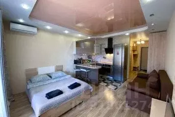 1-к кв. Московская область, Ногинск Богородский городской округ, ул. ...