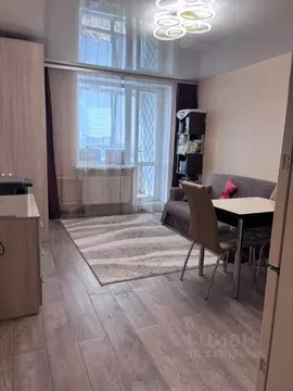 Студия Санкт-Петербург пос. Парголово, ул. Михаила Дудина, 10 (26.3 м)