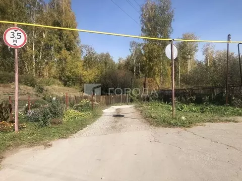 Участок в Новосибирская область, Новосибирский район, с. Раздольное  ...