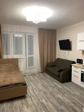 Студия Ленинградская область, Тосно г. Тосненский район, Тосненское ...