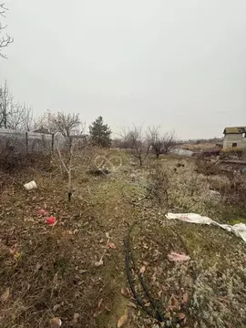 Участок в Волгоградская область, Волгоград Дзержинец СНТ, Степной ...