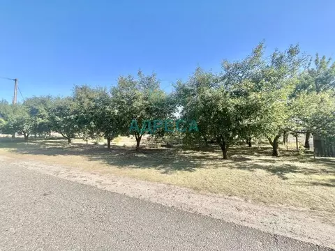 Участок в Белгородская область, Новый Оскол Студенческая ул. (13.8 ...