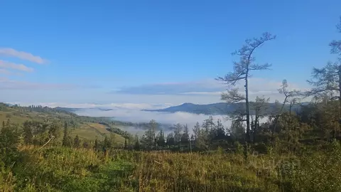 Участок в Алтай, Чемальский район, Элекмонарское с/пос, Седьмое Небо ...
