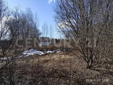 Участок в Ленинградская область, Подпорожское городское поселение, ...