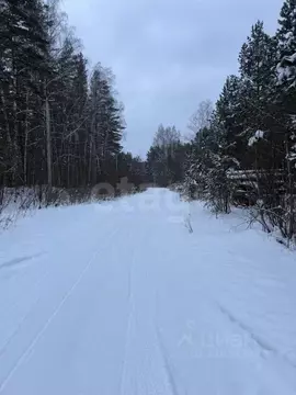 Участок в Свердловская область, Ревда муниципальный округ, с. Кунгурка ...