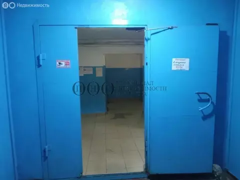 1-комнатная квартира: Кемерово, проспект Ленина, 142А (16 м)